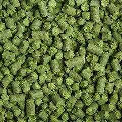 Chinook humle pellets