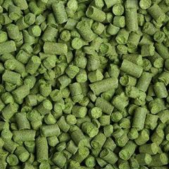 East Kent Golding humle pellets